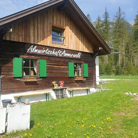 Ammerwald Alm Plansee Εξωτερικό φωτογραφία