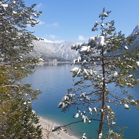 Ammerwald Alm Plansee Εξωτερικό φωτογραφία