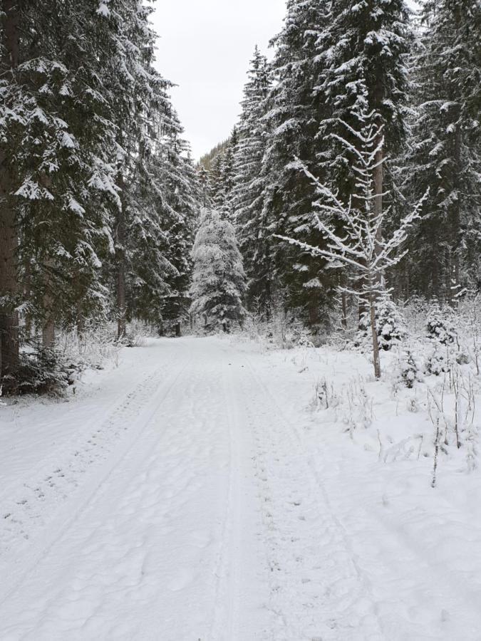 Ammerwald Alm Plansee Εξωτερικό φωτογραφία