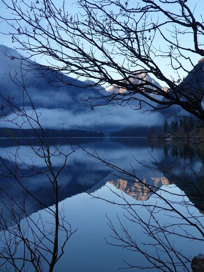 Ammerwald Alm Plansee Εξωτερικό φωτογραφία