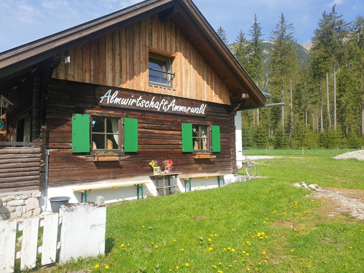 Ammerwald Alm Plansee Εξωτερικό φωτογραφία